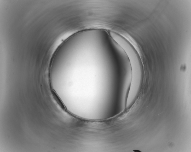 X0000090451293200708102041