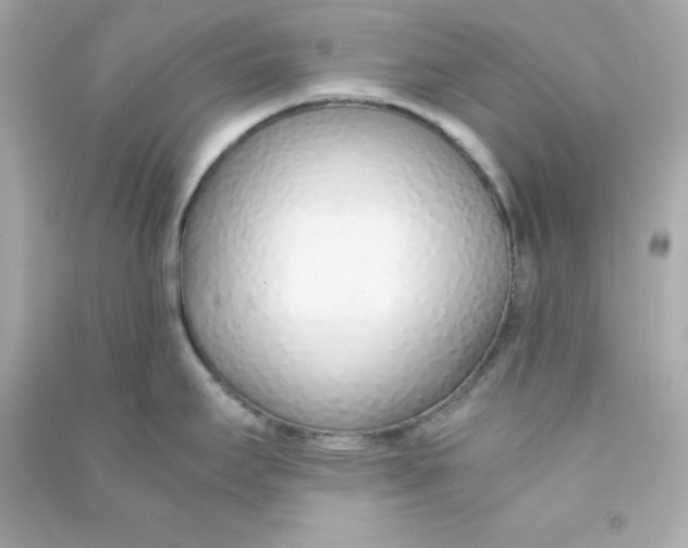 X0000090451295200708102041