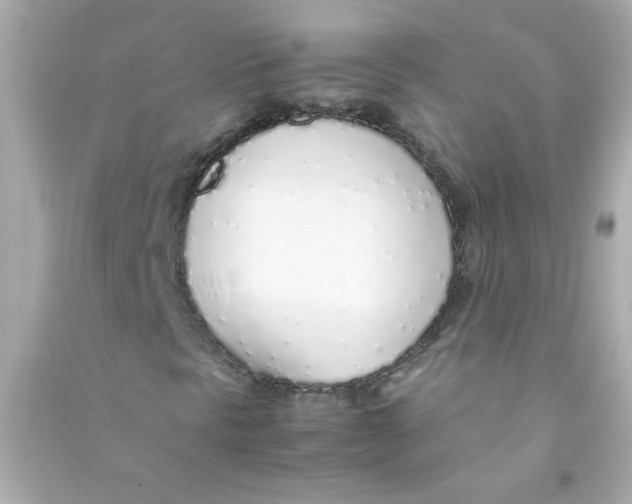 X0000090451297200708102040