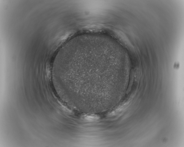 X0000090451298200708102040