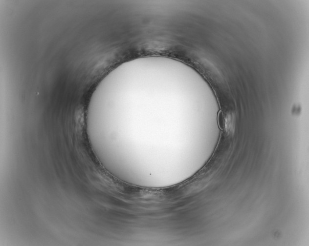 X0000090451299200708102040