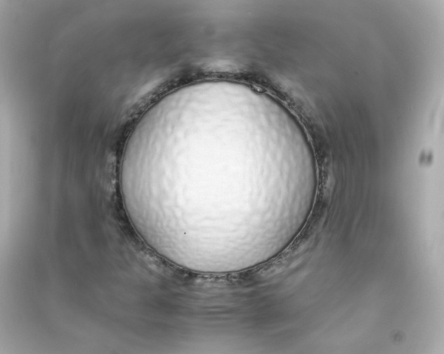 X0000090451301200708102040