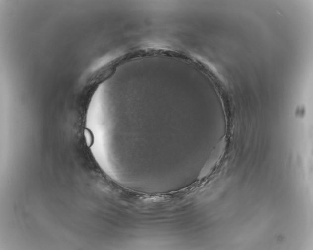 X0000090451303200708102040