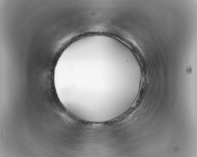 X0000090451304200708102040