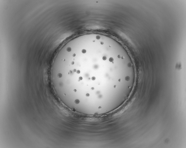 X0000090451305200708102040