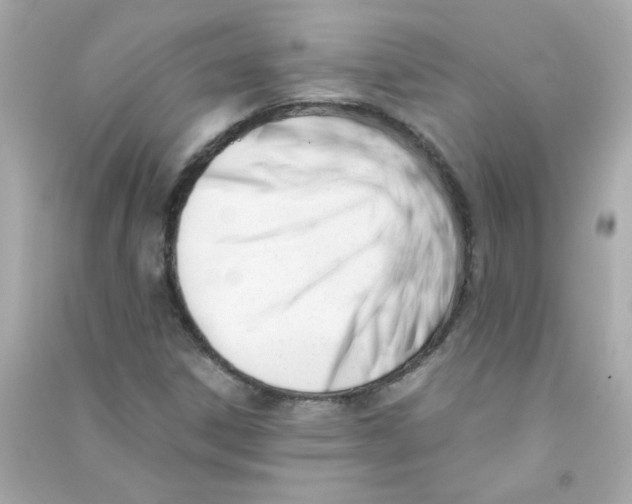 X0000090451306200708102040