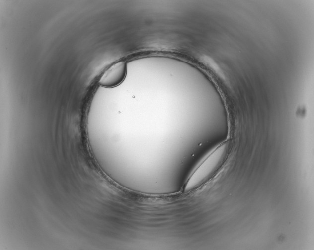 X0000090451307200708102040