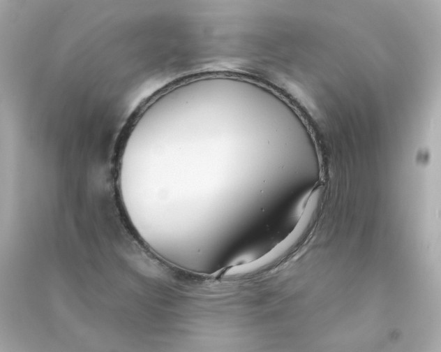 X0000090451308200708102040