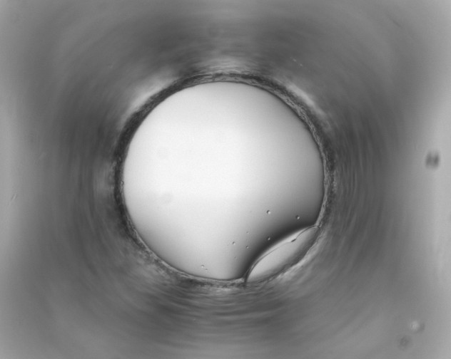 X0000090451309200708102040