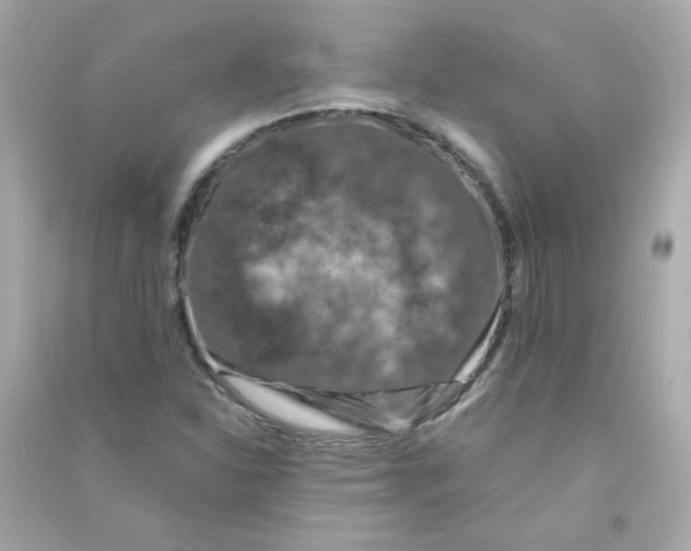 X0000090451310200708102040