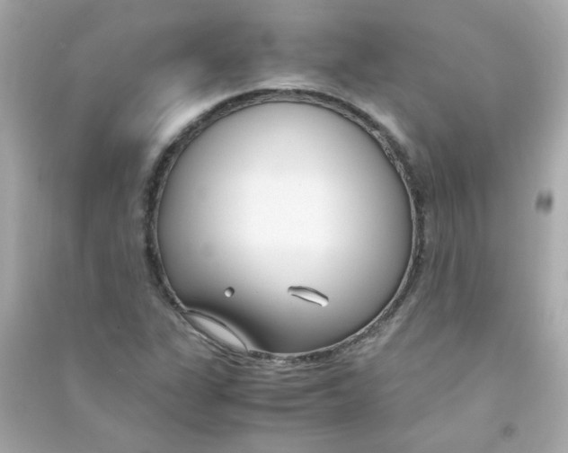 X0000090451311200708102040