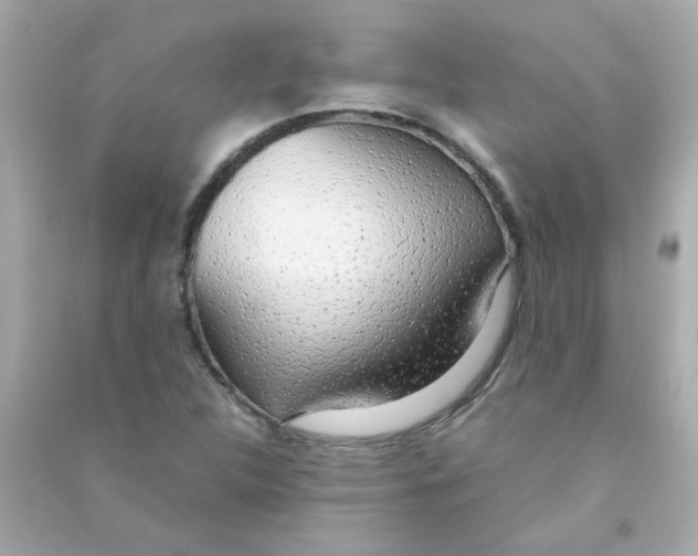 X0000090451312200708102040