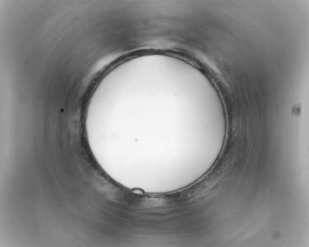 X0000090451315200708102040