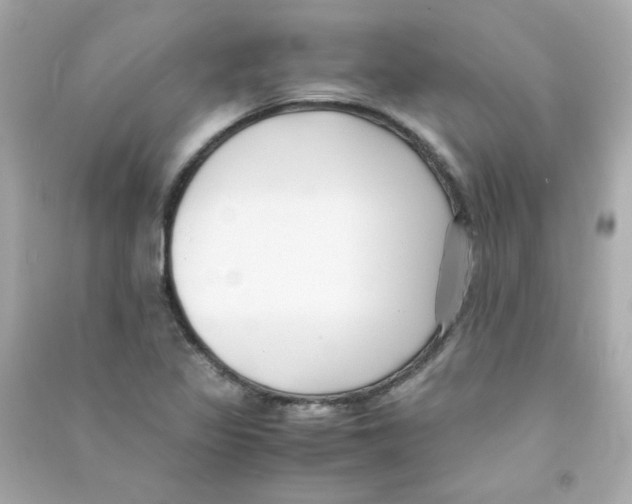 X0000090451317200708102040