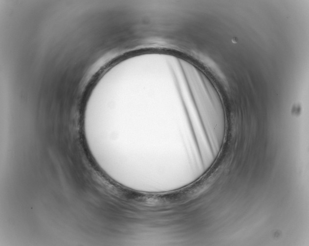 X0000090451318200708102040