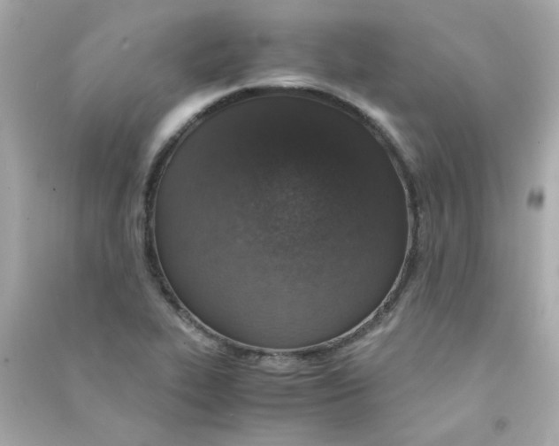 X0000090451319200708102040