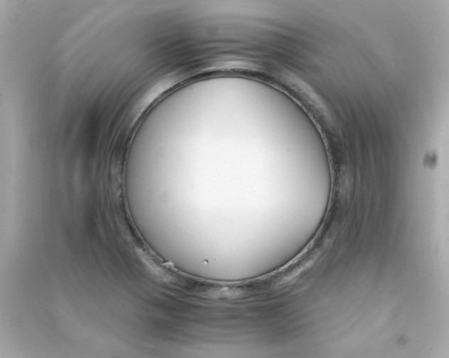 X0000090451321200708102040