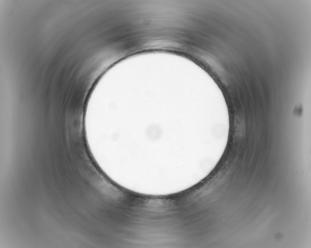 X0000090451322200708102040