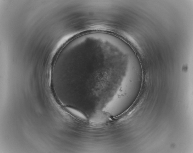 X0000090451323200708102040