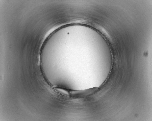 X0000090451324200708102040