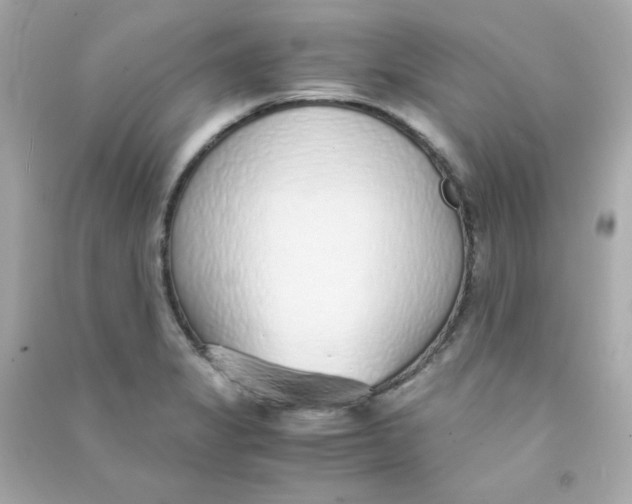 X0000090451325200708102040