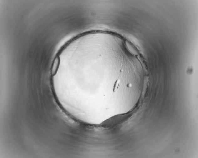 X0000090451326200708102040