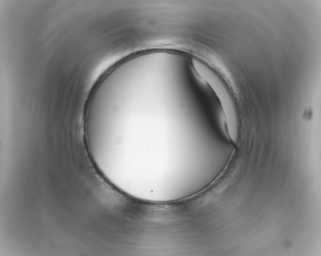 X0000090451328200708102040