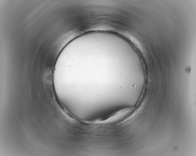 X0000090451329200708102040