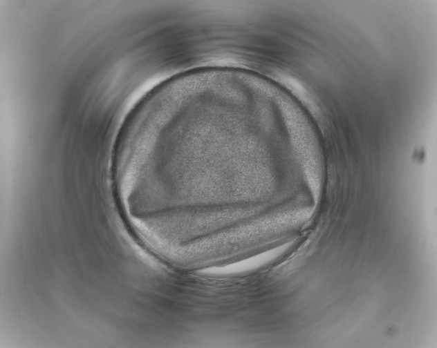 X0000090451331200708102040