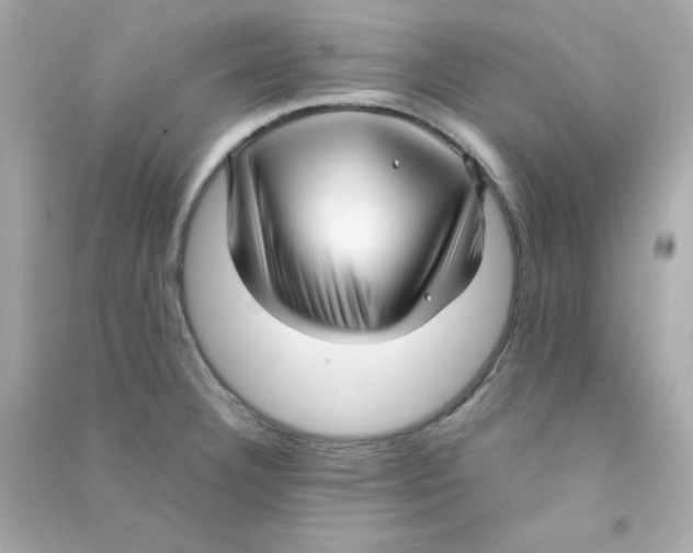 X0000090451332200708102040