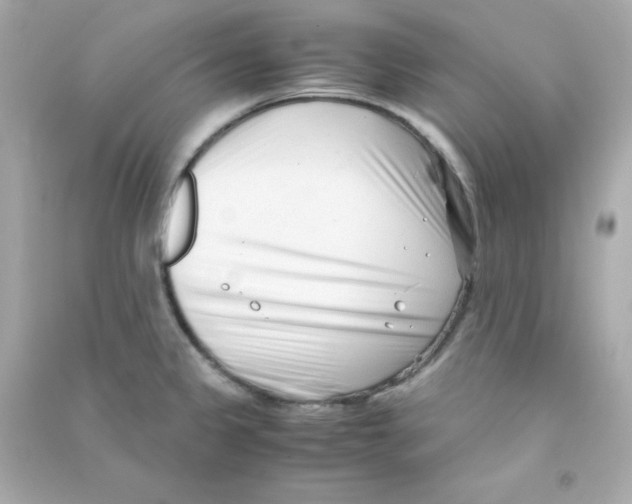 X0000090451333200708102040