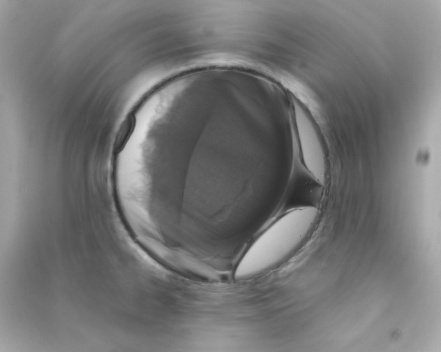 X0000090451334200708102040