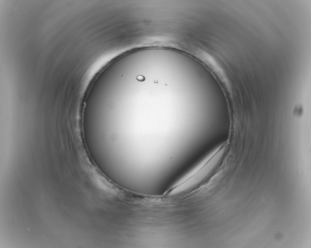 X0000090451336200708102040