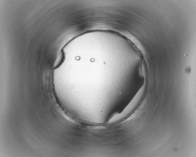 X0000090451337200708102040