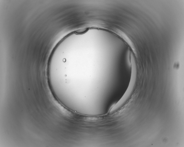 X0000090451339200708102041