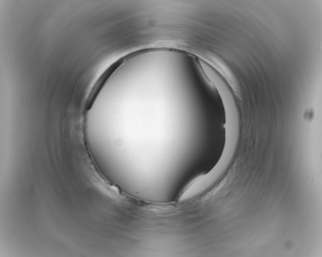 X0000090451340200708102041