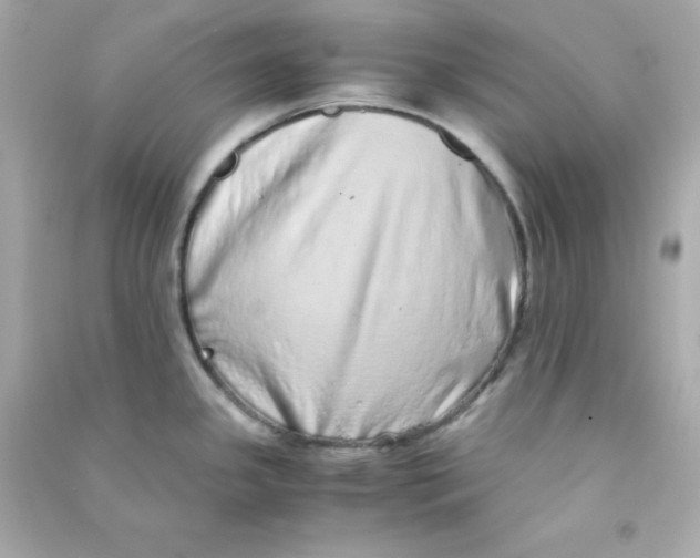 X0000090451341200708102041