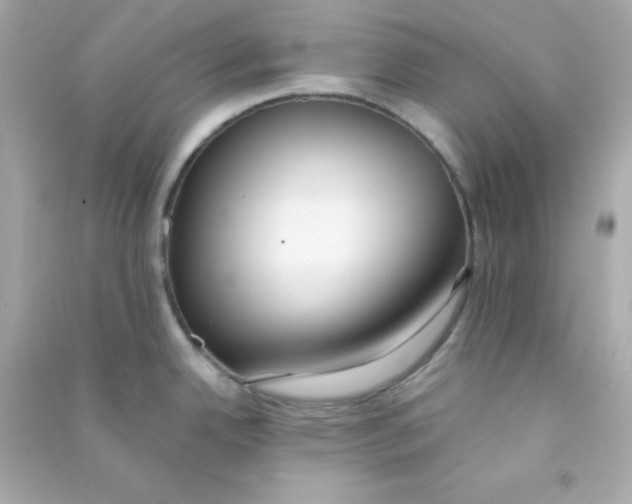 X0000090451342200708102041