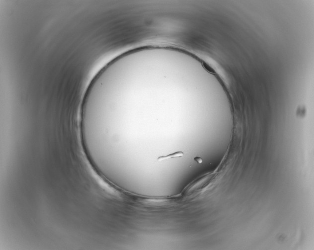 X0000090451343200708102041