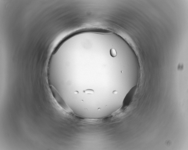 X0000090451344200708102041