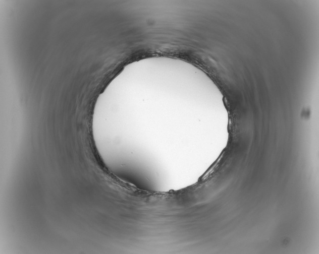 X0000090451345200708102040