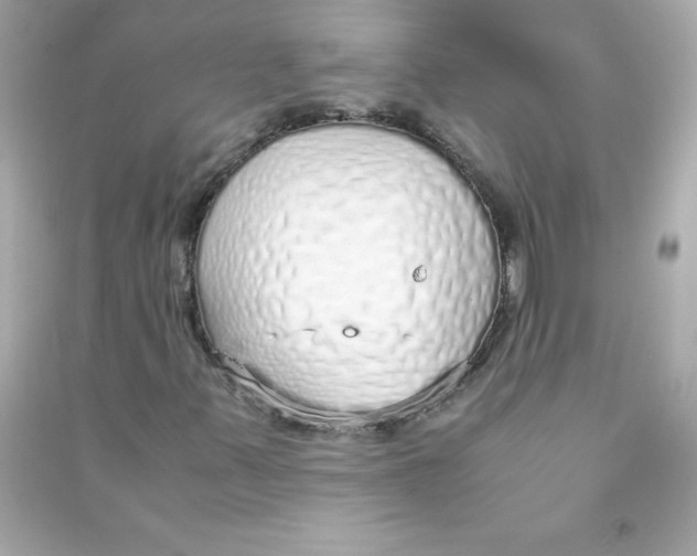 X0000090451347200708102040