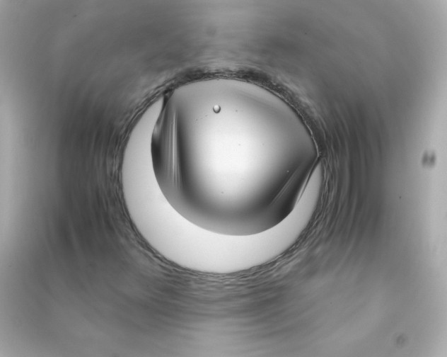 X0000090451348200708102040