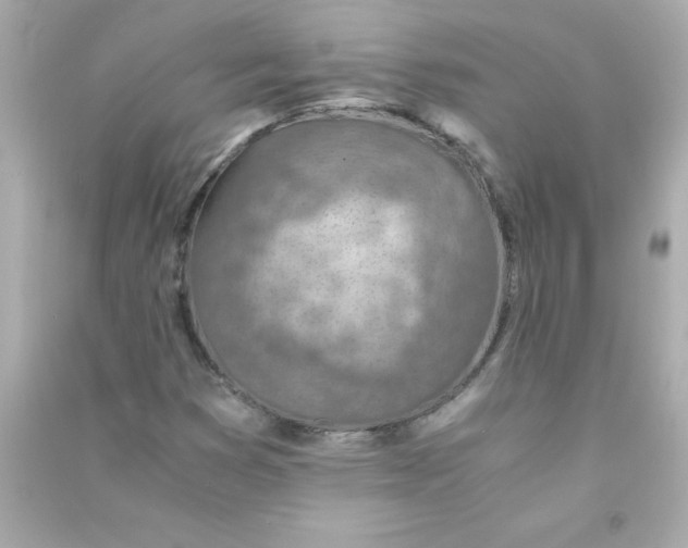 X0000090451353200708102040