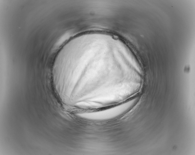 X0000090451355200708102040