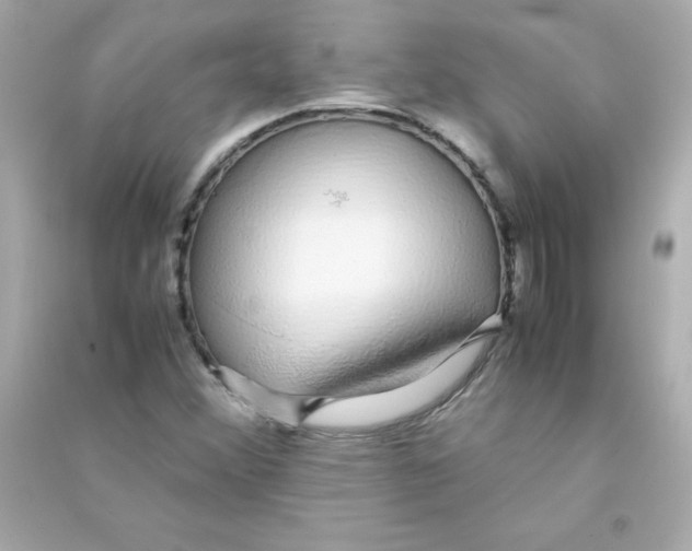 X0000090451356200708102040