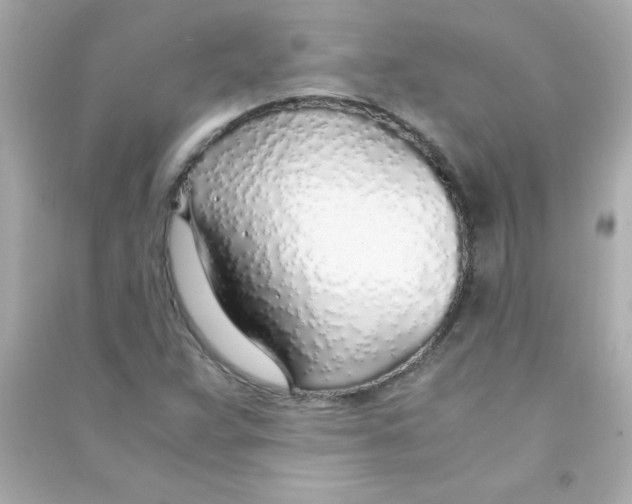 X0000090451359200708102040