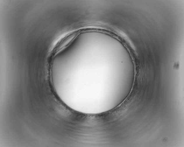 X0000090451360200708102040