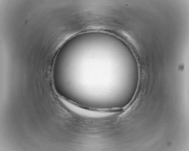 X0000090451361200708102040