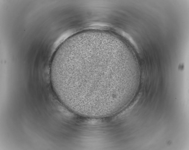 X0000090451362200708102040